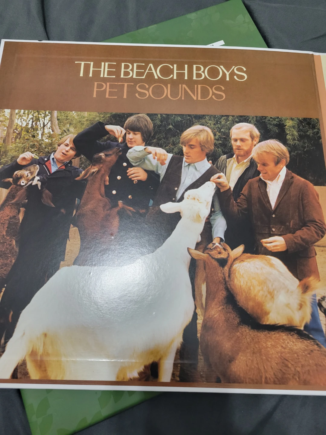 The Beach Boys Pet Sounds Monophonic One-Step Vinyl - photo 4
