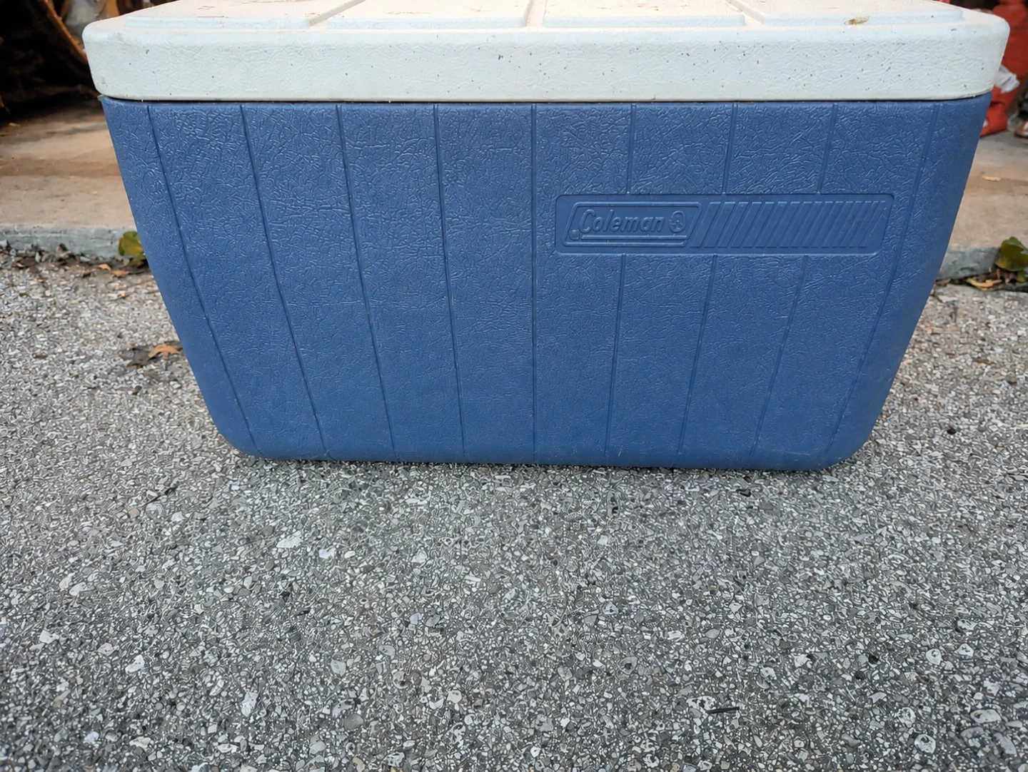 Coleman Cooler