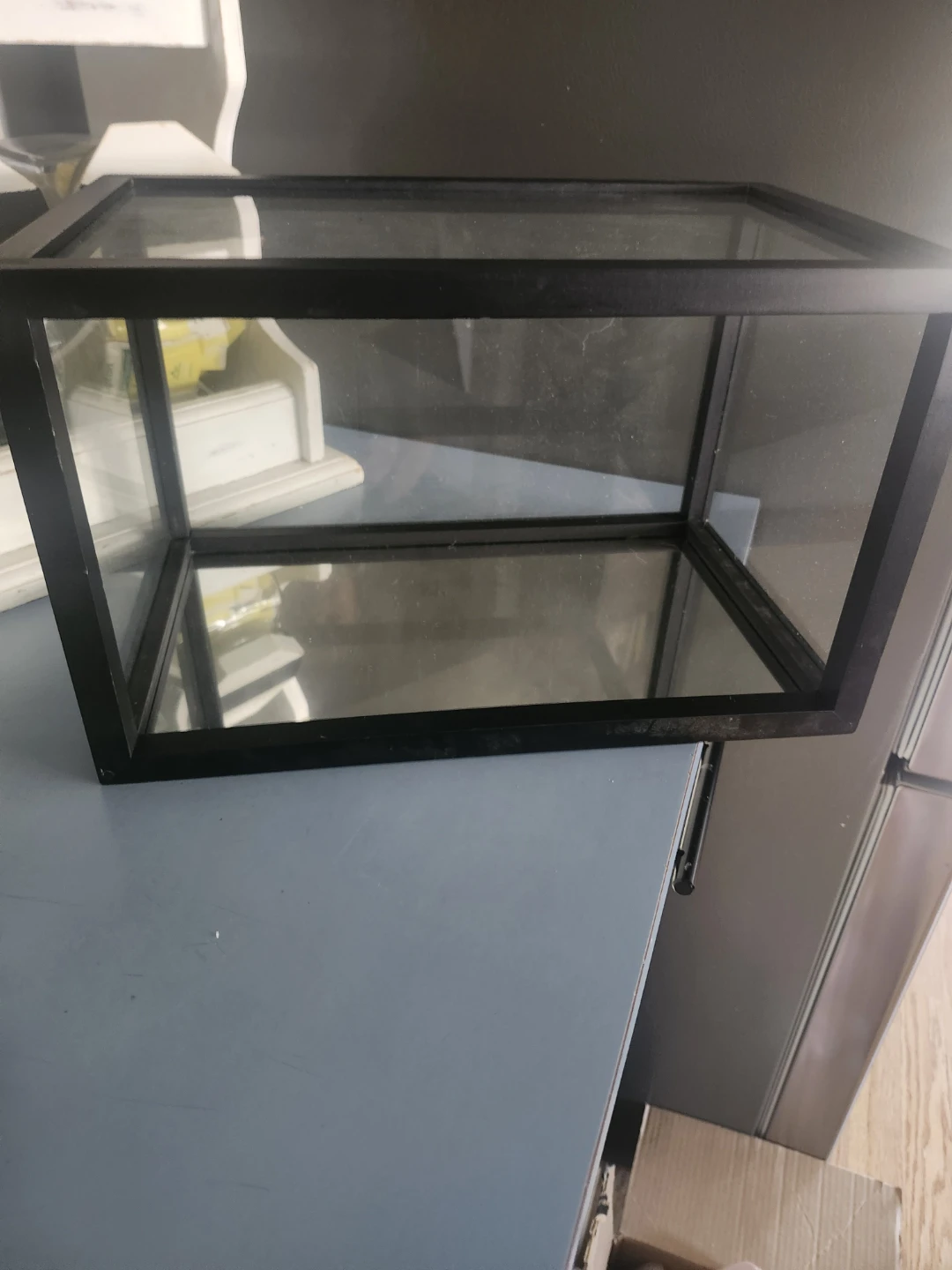 Glass Terrarium or Display Box - photo 5
