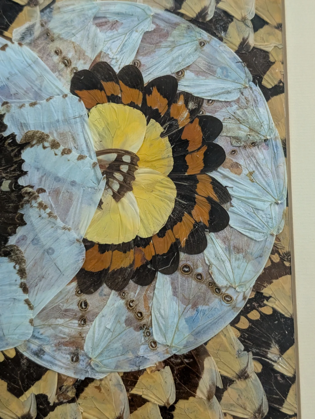 Vintage Real Butterfly Wing Moth Kaleidoscope Taxidermy Art - photo 4
