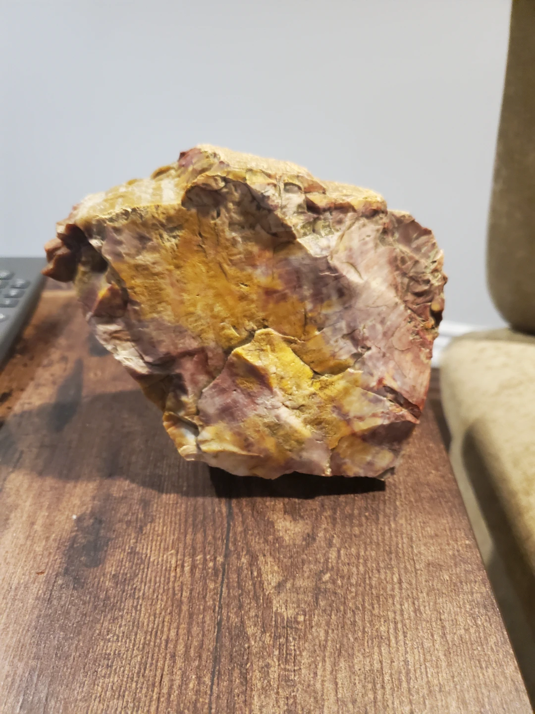 3.5 lbs Petrified Wood Rock Specimen