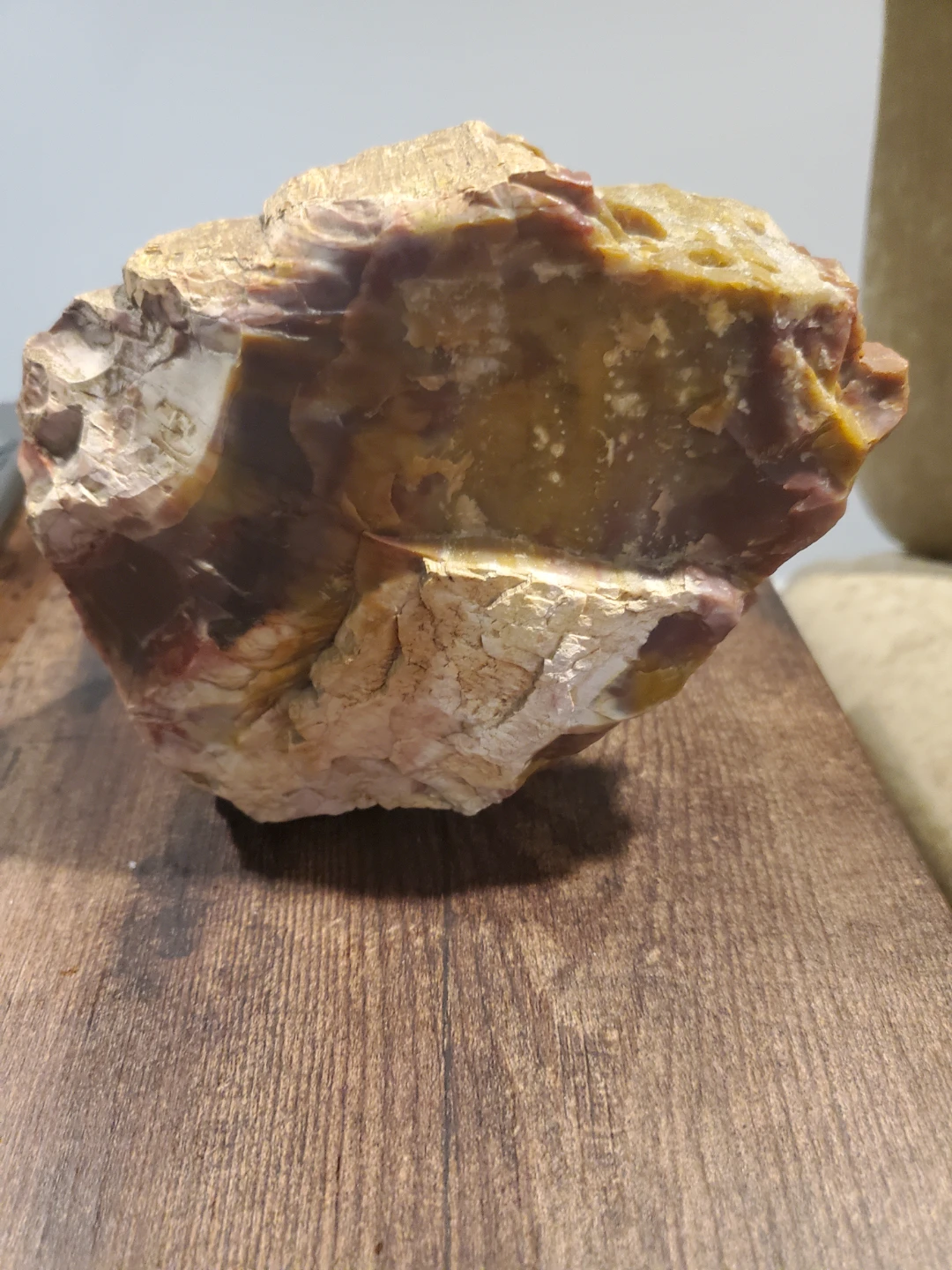 3.5 lbs Petrified Wood Rock Specimen - photo 2