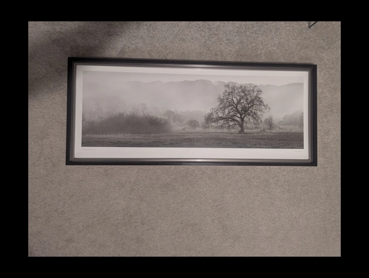 Framed Black and White Landscape Print
