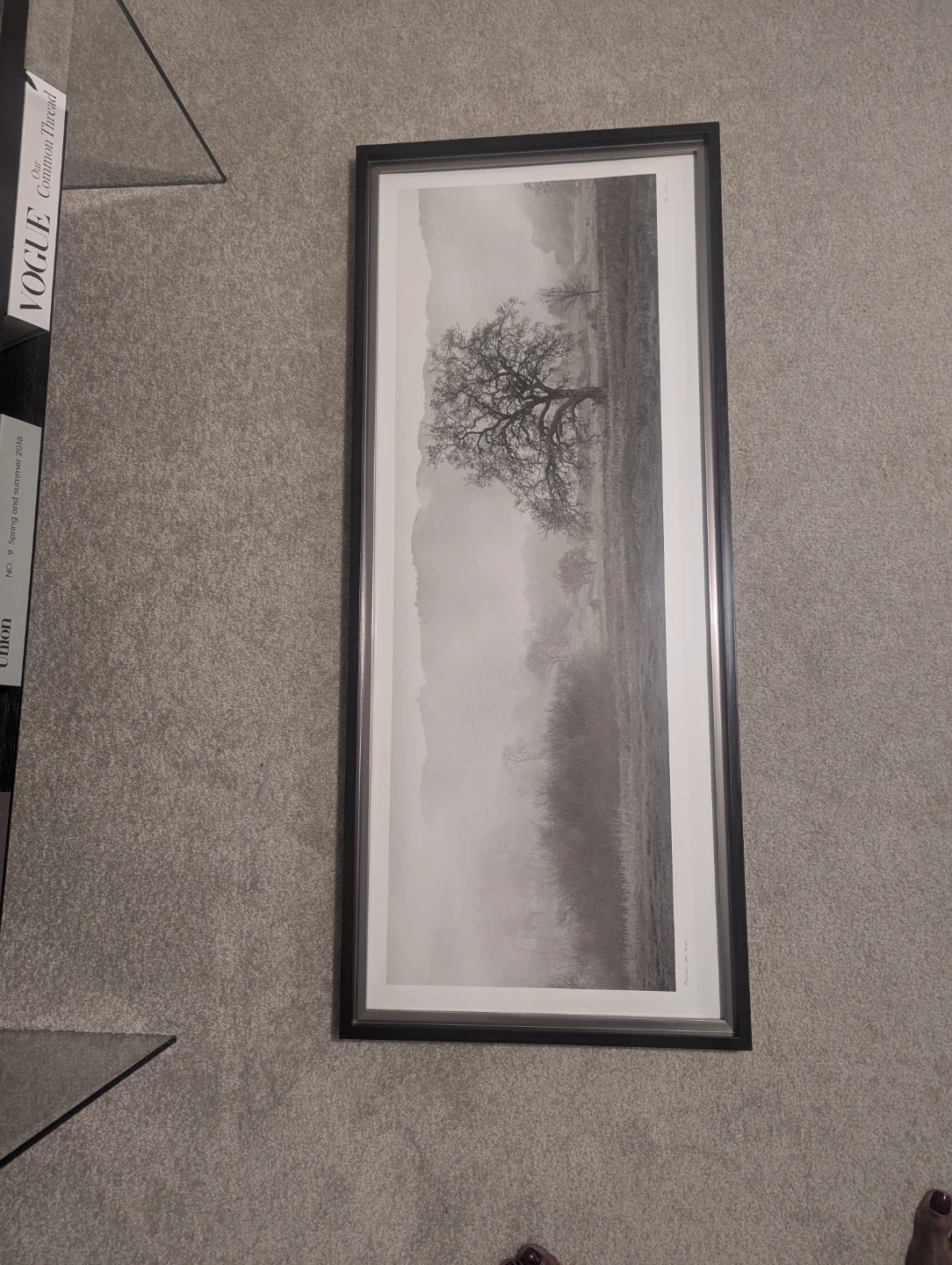 Framed Black and White Landscape Print - photo 3