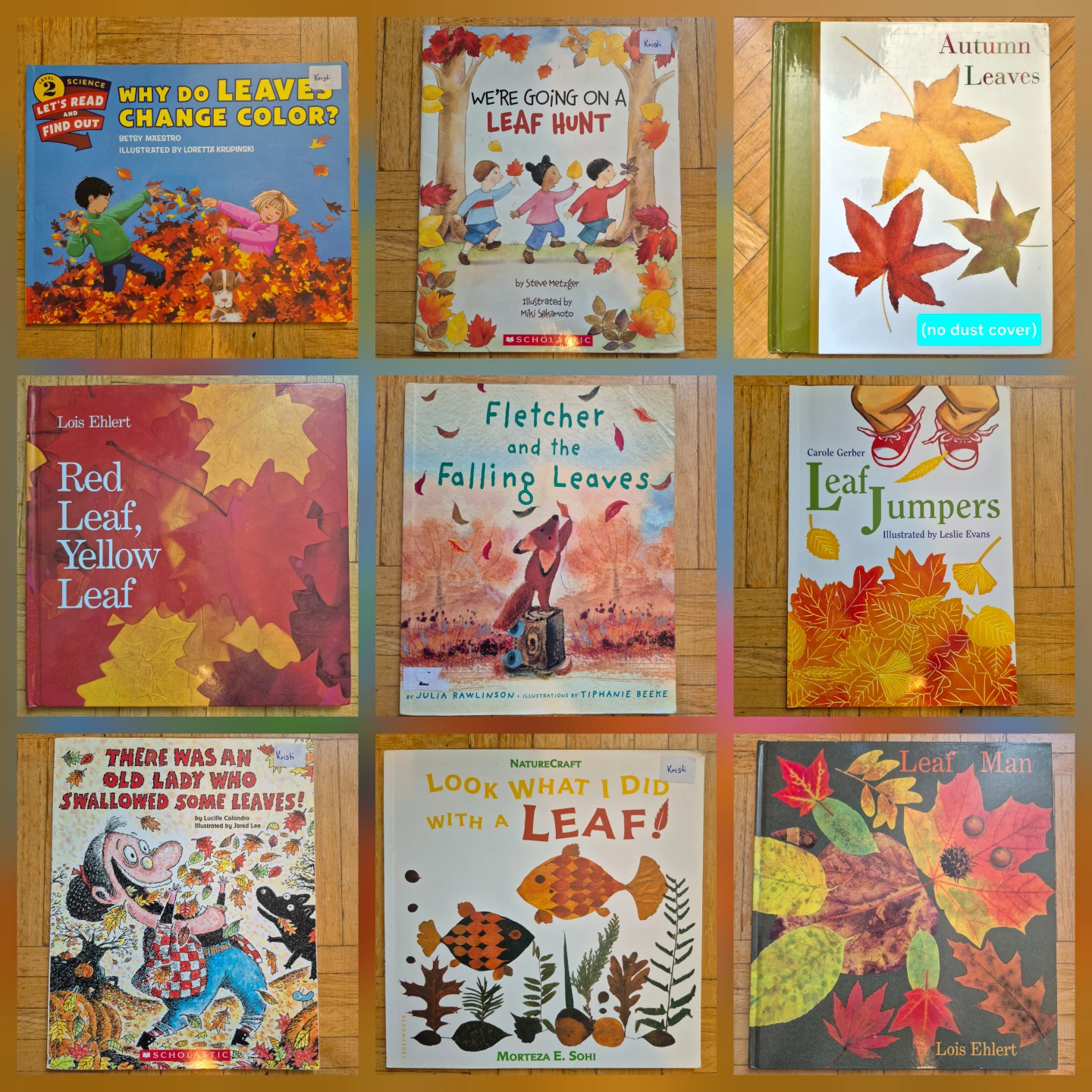 9 Kindergarten books about autumn leaves