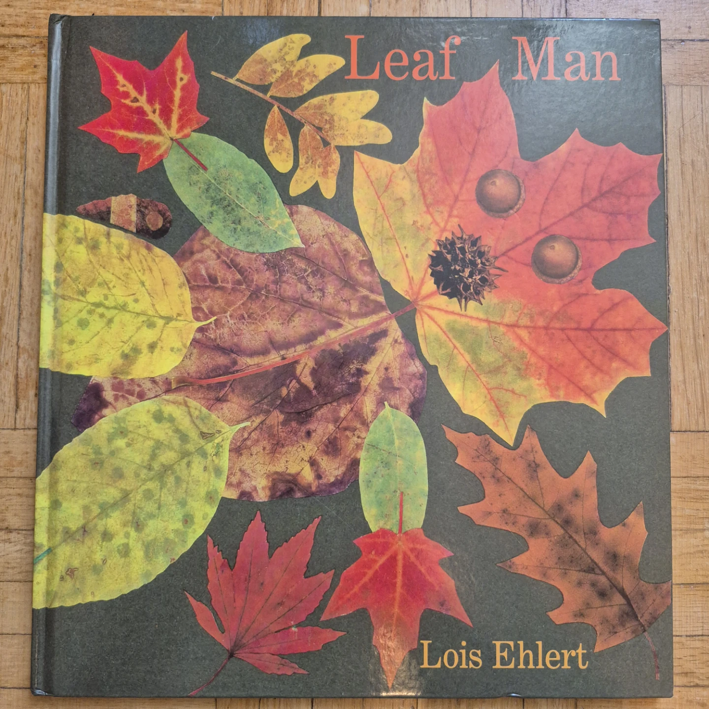9 Kindergarten books about autumn leaves - photo 2