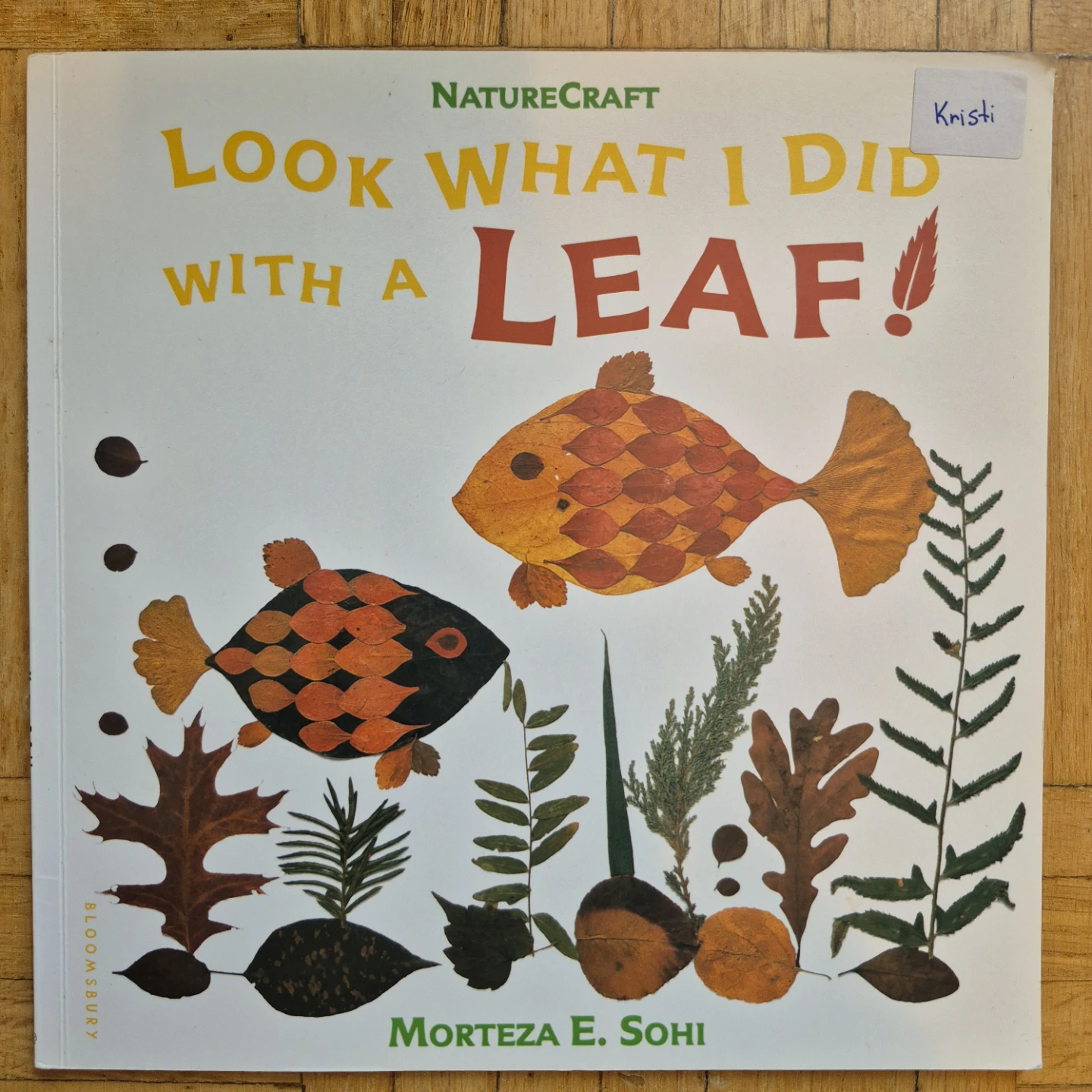 9 Kindergarten books about autumn leaves - photo 3