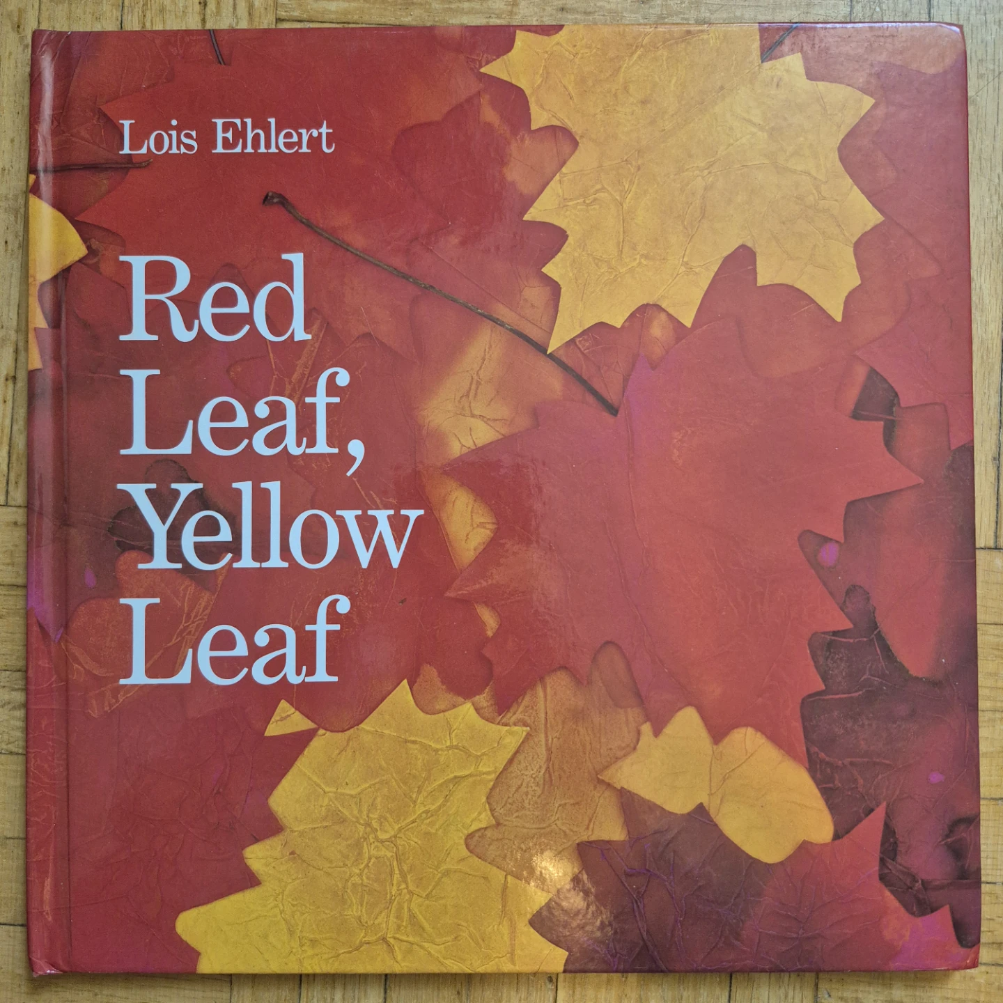 9 Kindergarten books about autumn leaves - photo 4