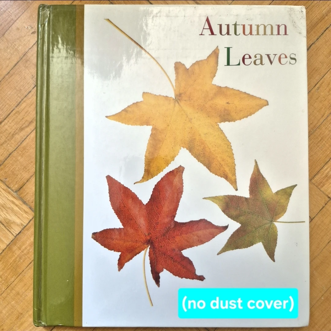 9 Kindergarten books about autumn leaves - photo 5
