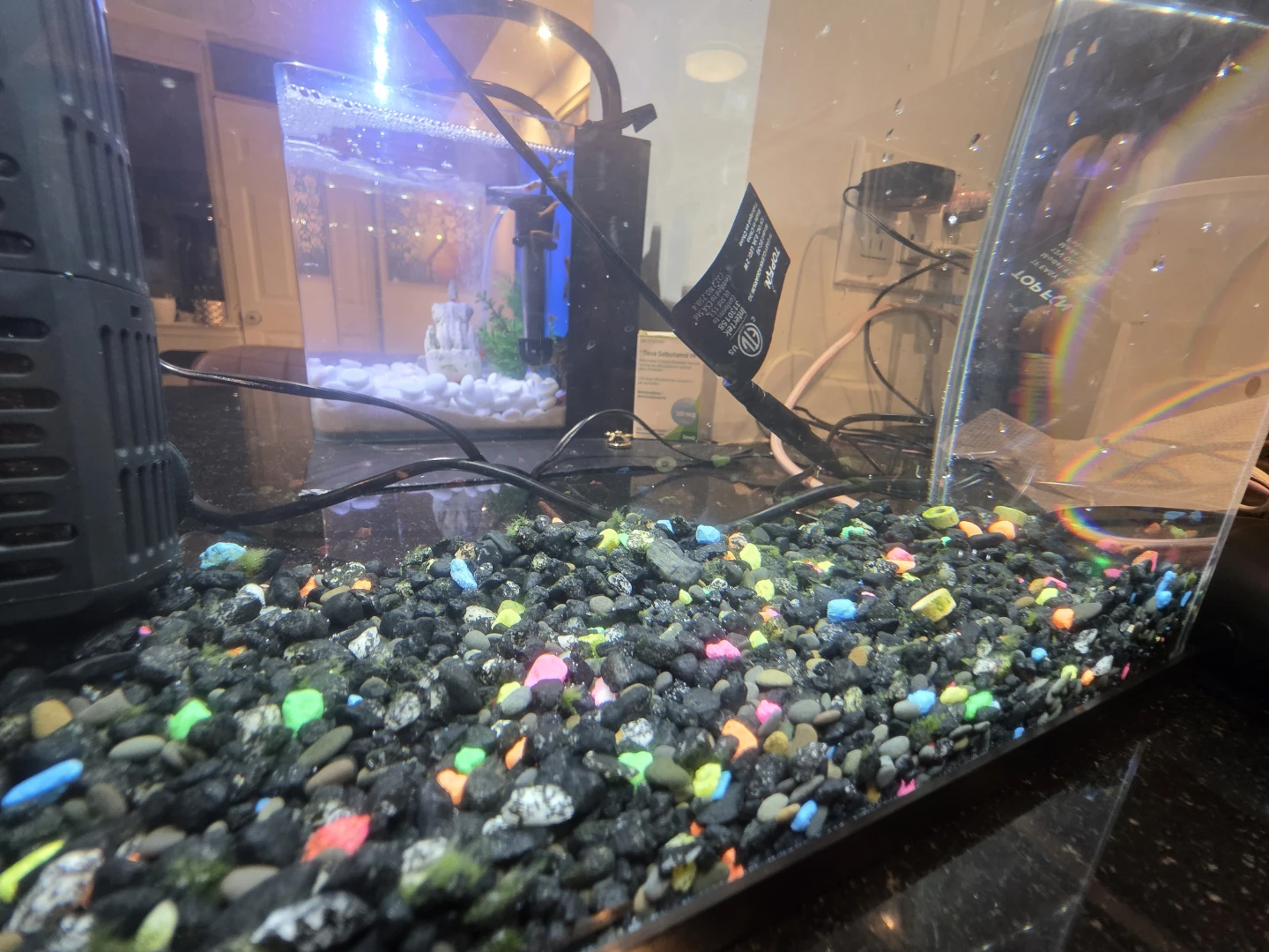 Top Fin 5 Gallon Aquarium Kit - photo 2
