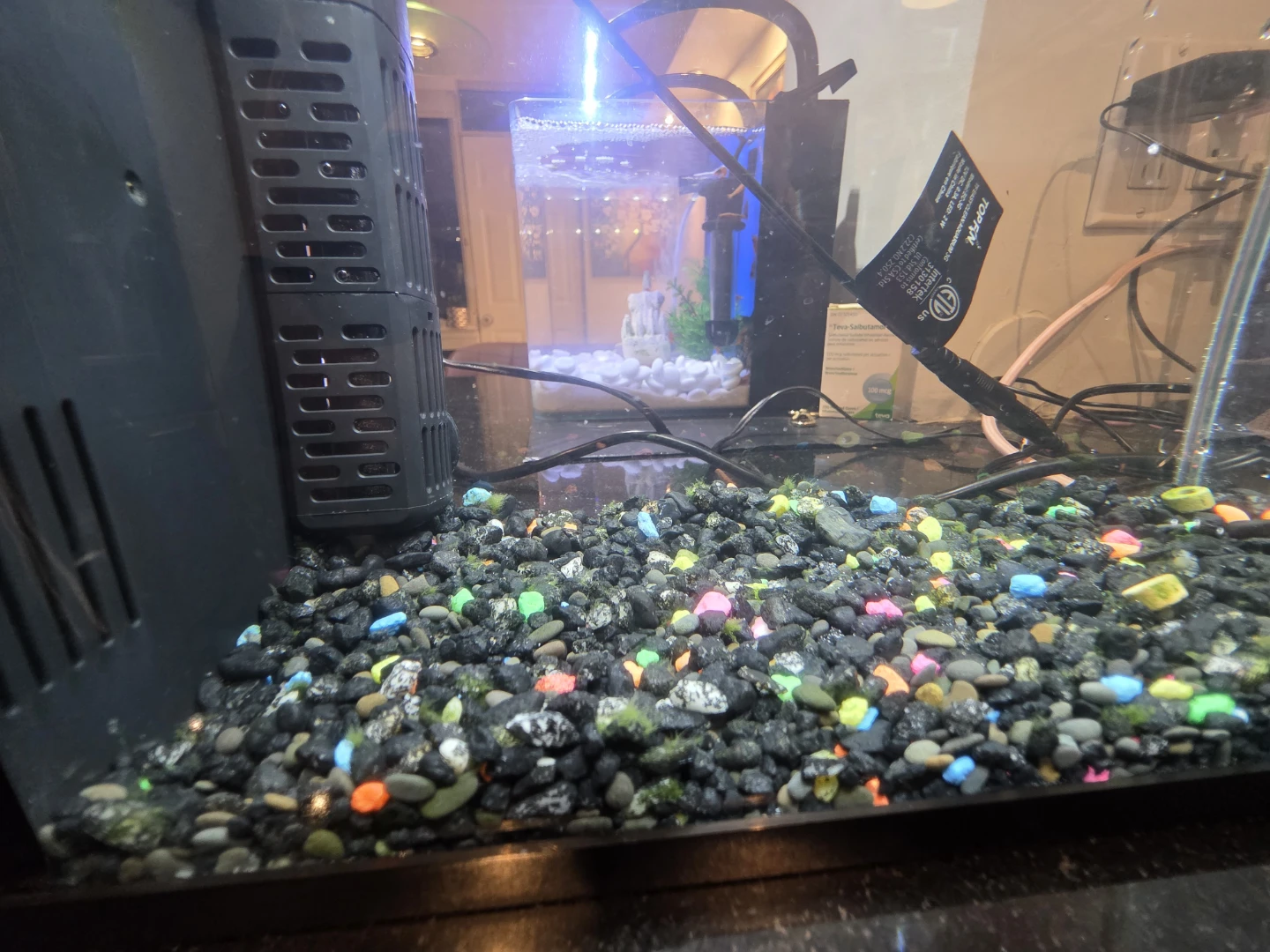 Top Fin 5 Gallon Aquarium Kit - photo 3
