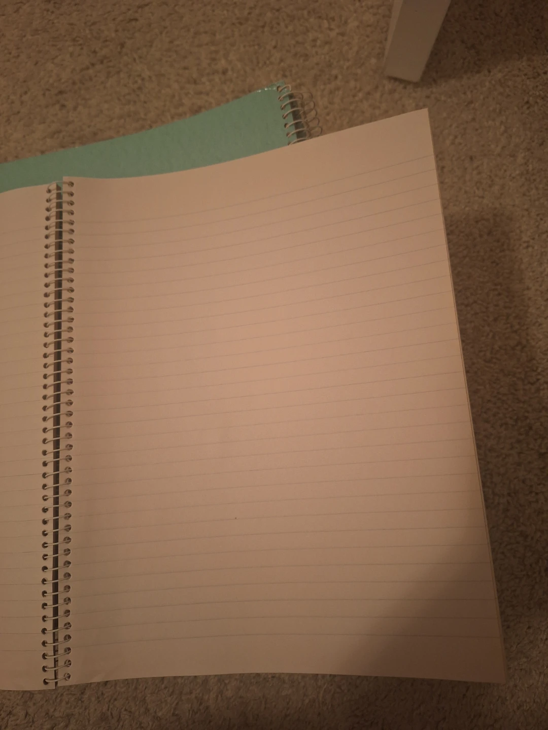 Butterfly Loose-Leaf Note Book 100pages - $1 each - photo 2