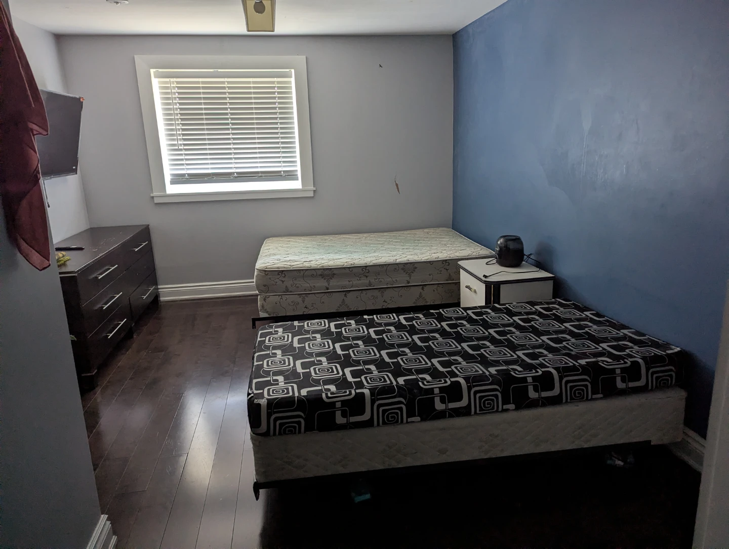 Large private room for rent at torbram and Balmoral