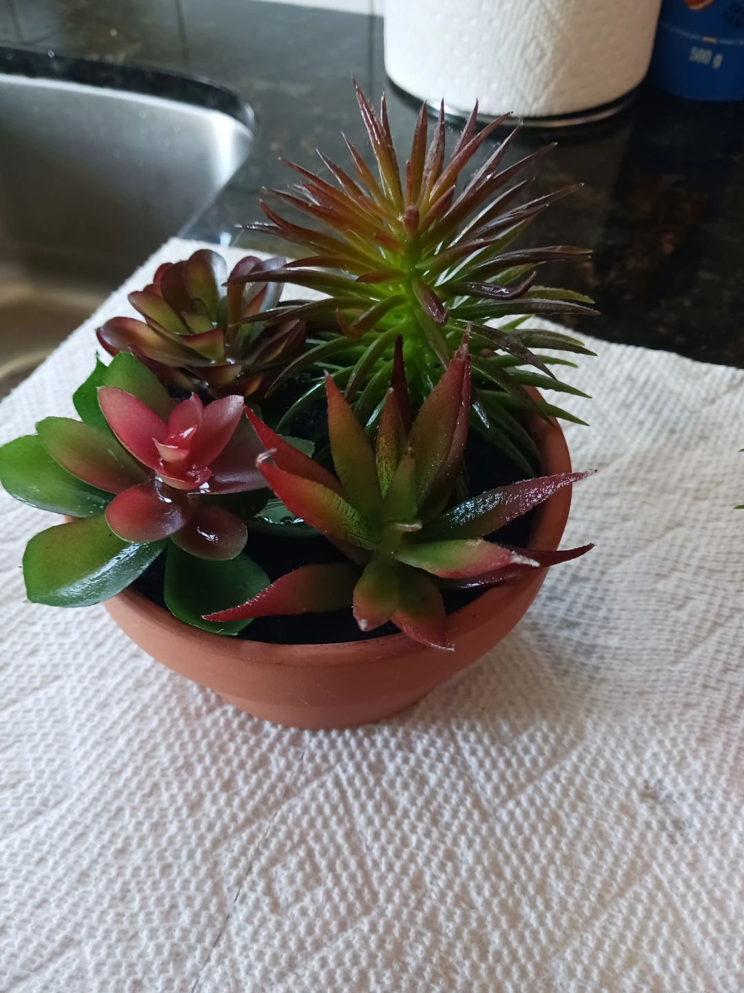 Artificial Succulent Plant Arrangement - photo 2