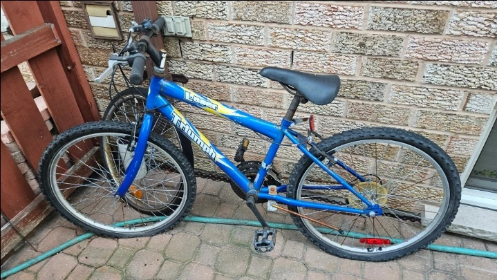 Triumph Blue Kids Bike