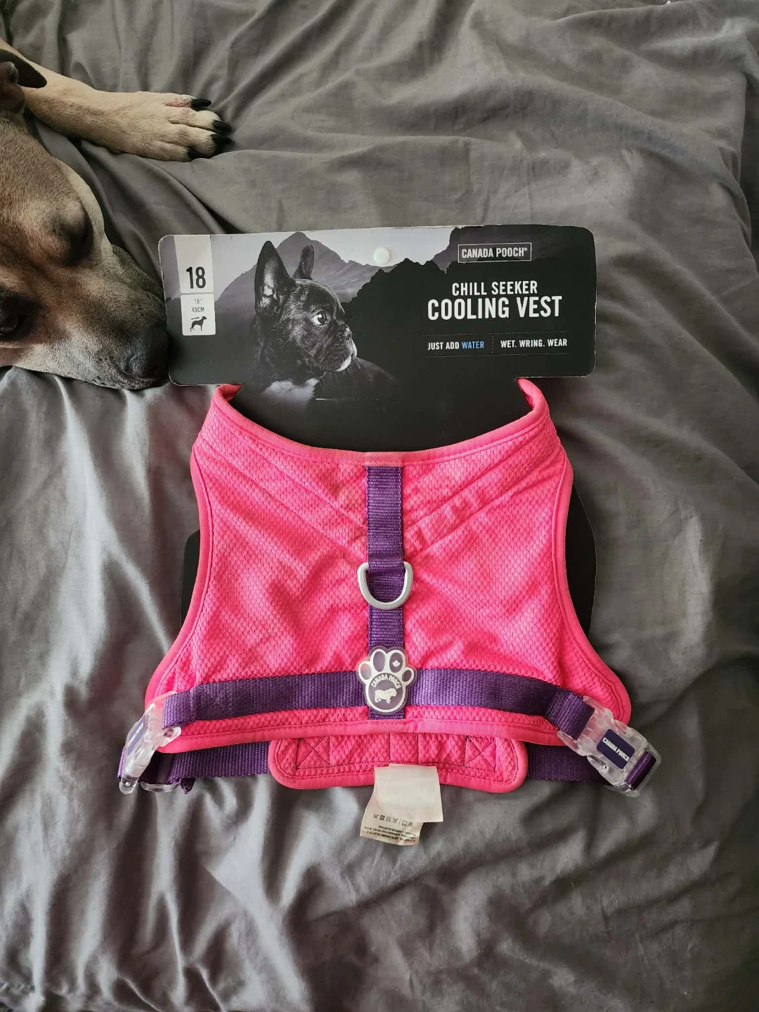 Canada Pooch Chill Seeker Cooling Vest Size 18 Pink - photo 2