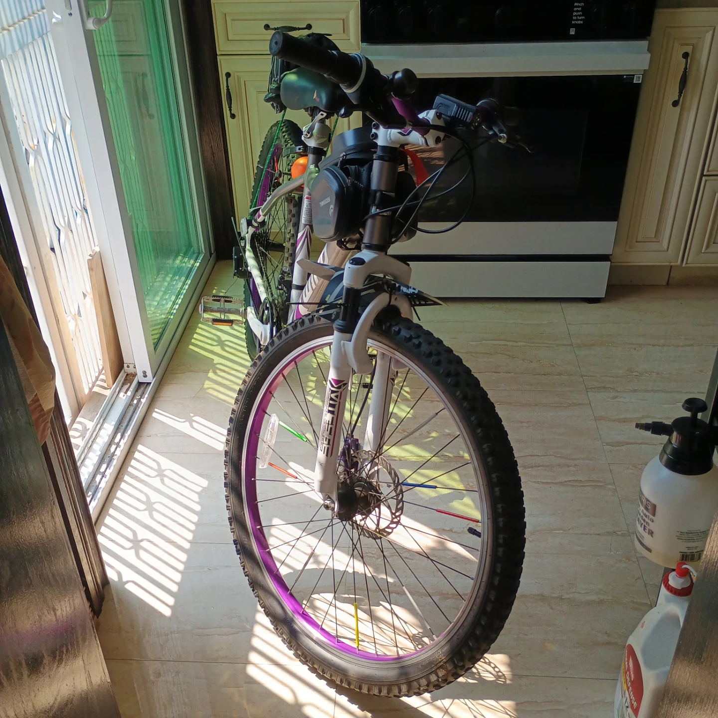 Mountain Bike