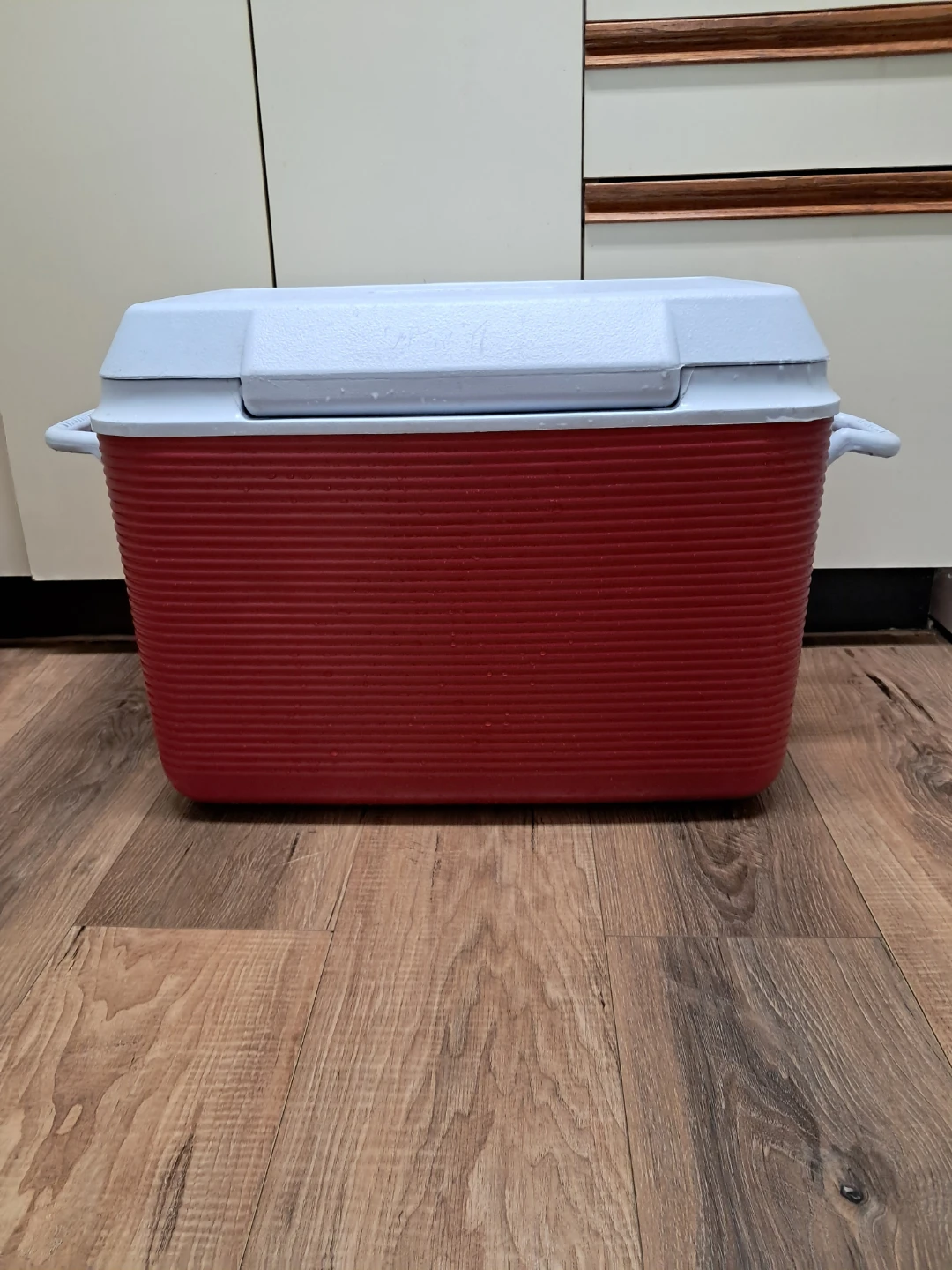 Rubbermaid Cooler - photo 5