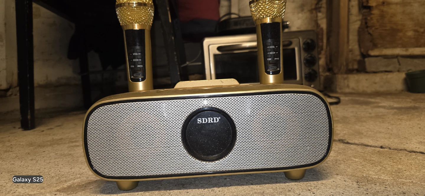 SDRD Karaoke Machine with Gold Microphones