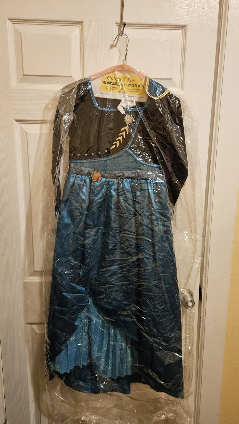 Princess Ana costume from Frozen - photo 3