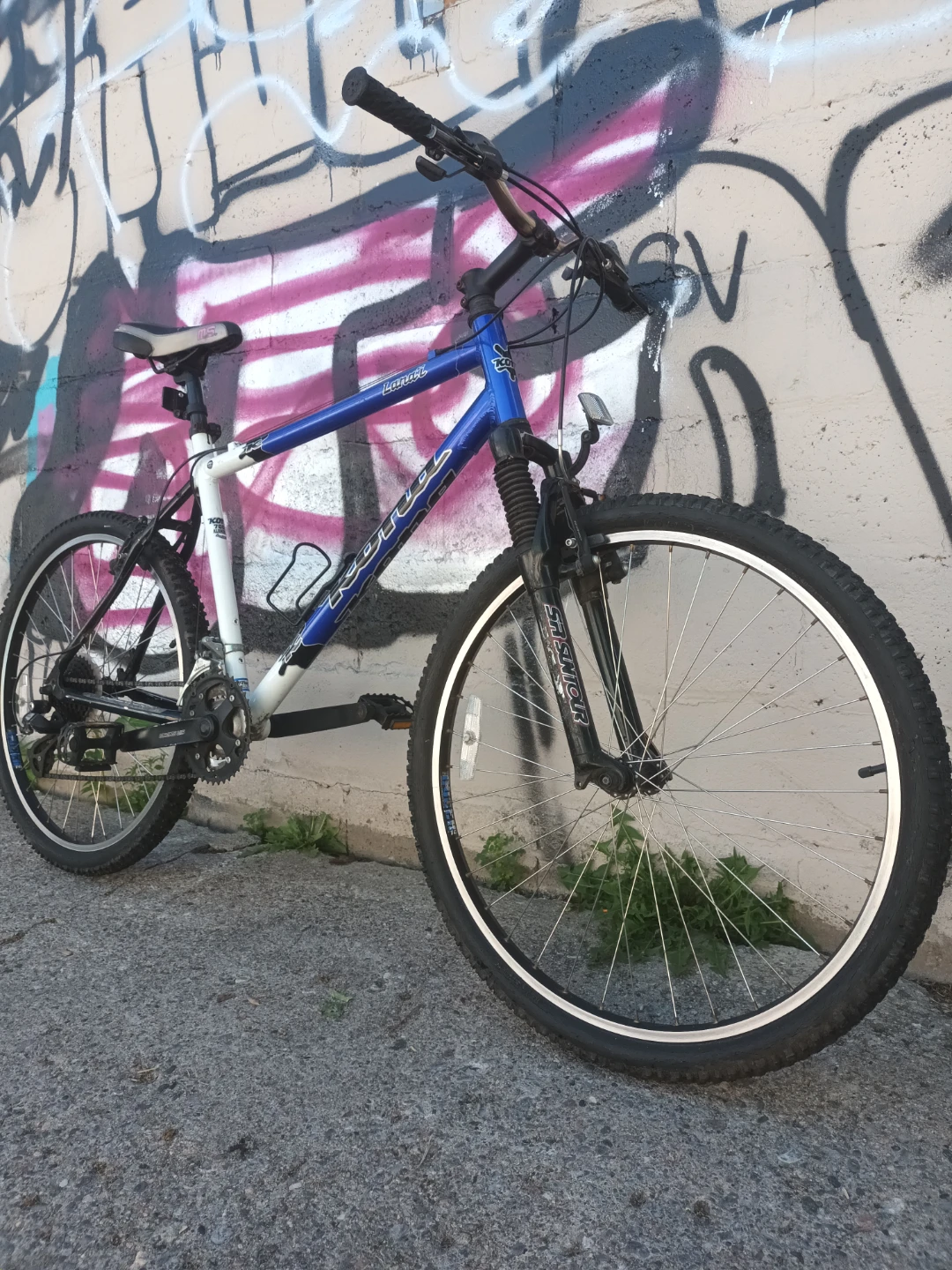 Kona Bike
