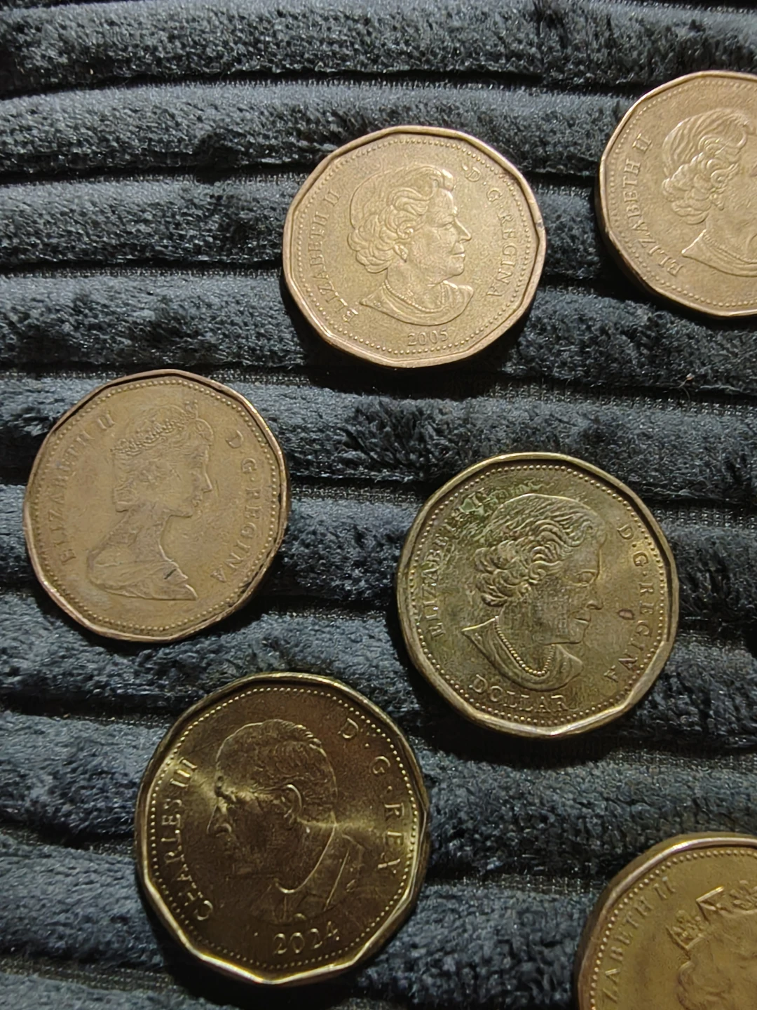 Collection of Canadian Dollar Coins - photo 5