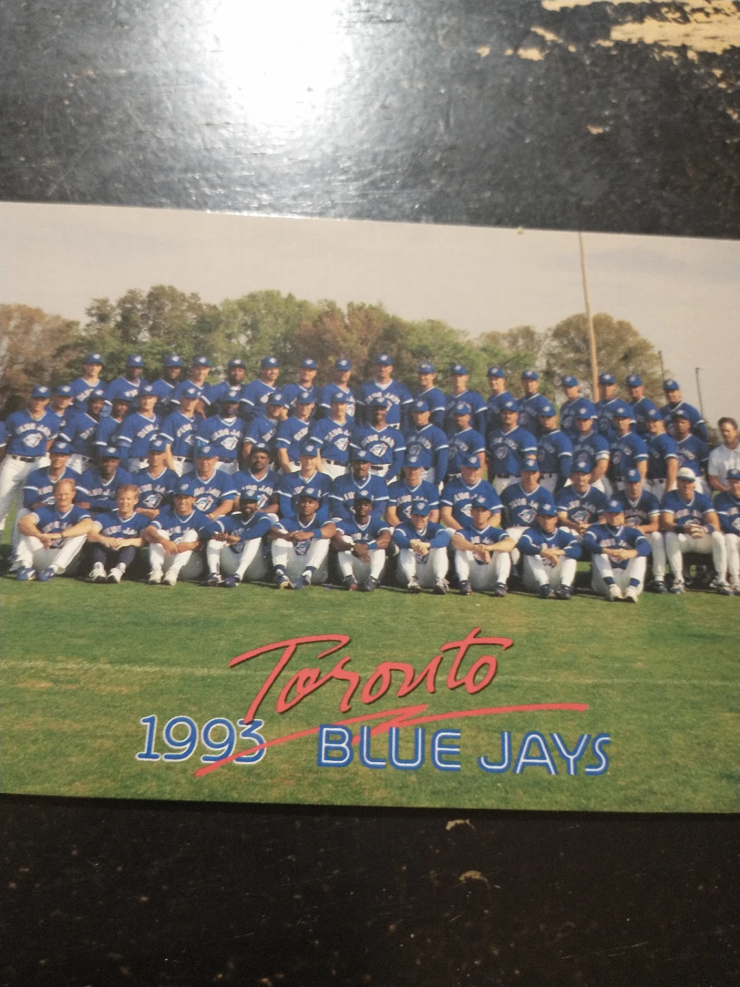 Toronto Blue Jays 1993 Team Postcard World Series Champions