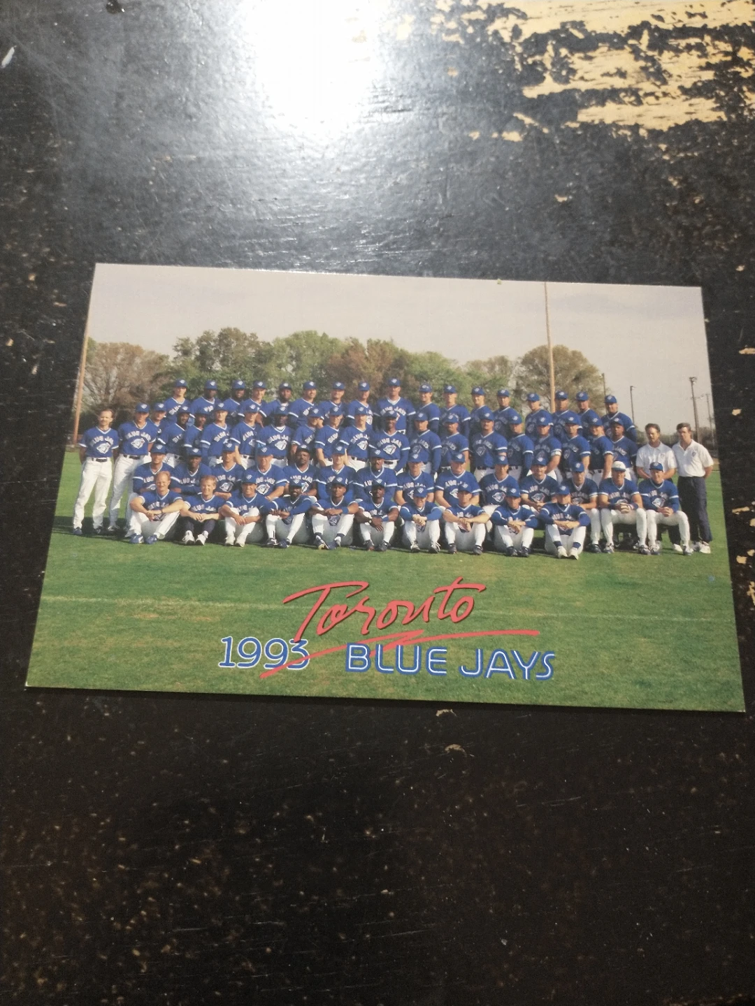 Toronto Blue Jays 1993 Team Postcard World Series Champions - photo 2