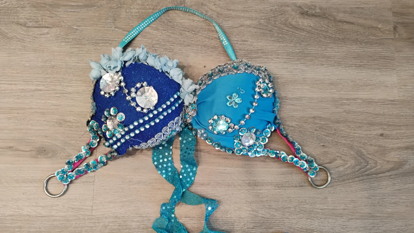 Belly Dance Costume Set - Bra and Skirt - photo 2