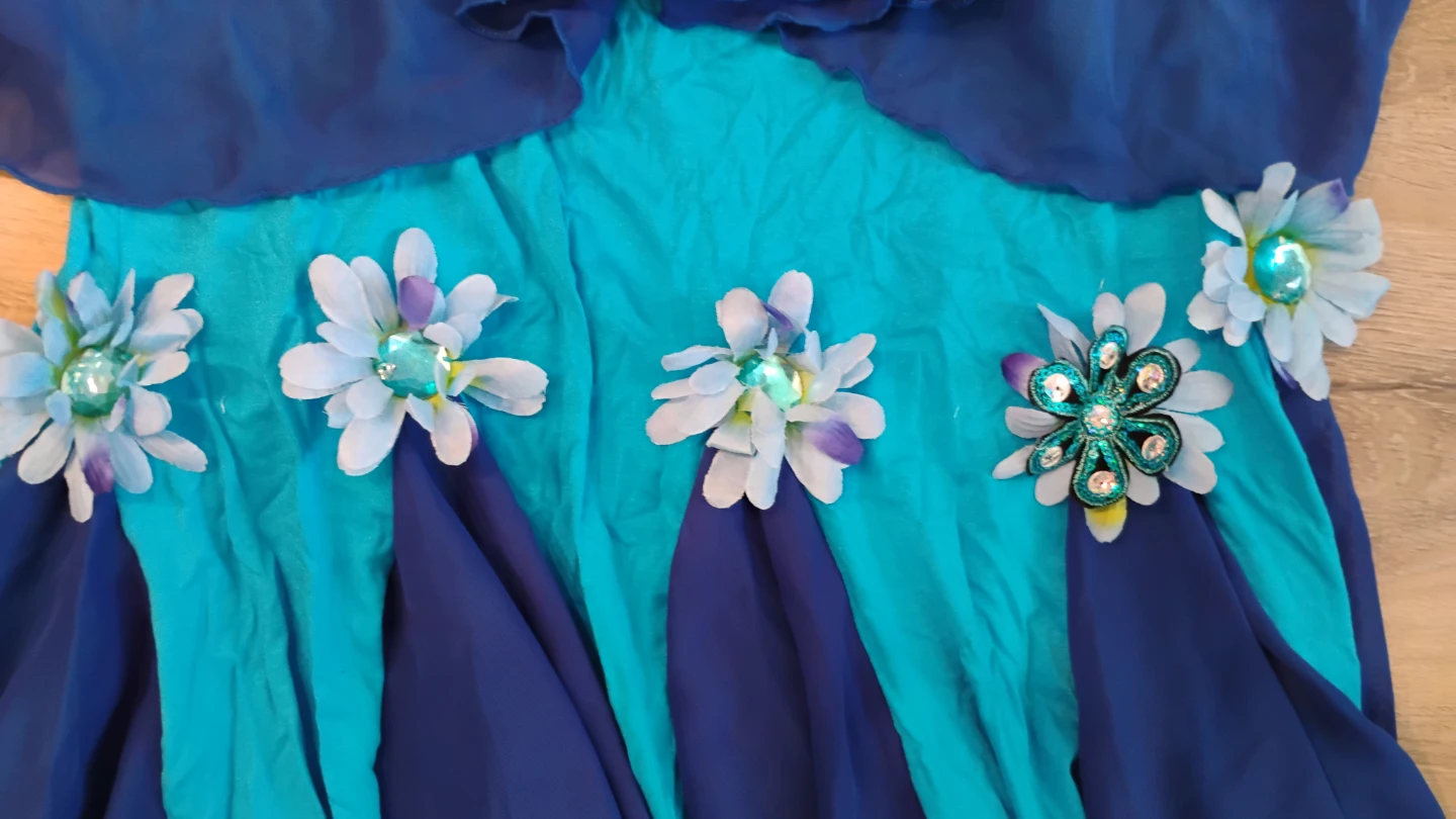 Belly Dance Costume Set - Bra and Skirt - photo 5
