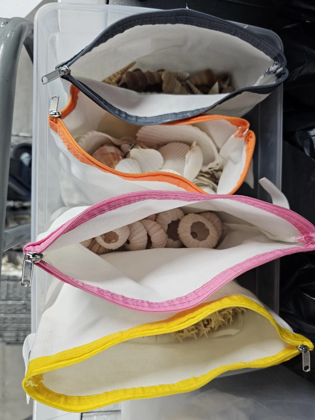 Assorted Seashells and Starfish in Zipper Pouches - photo 5