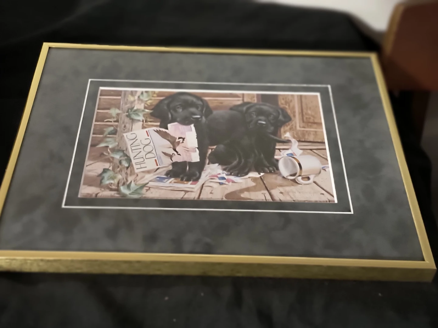 Framed Print: Black Labrador Puppies with "Hunting Dog" Magazine