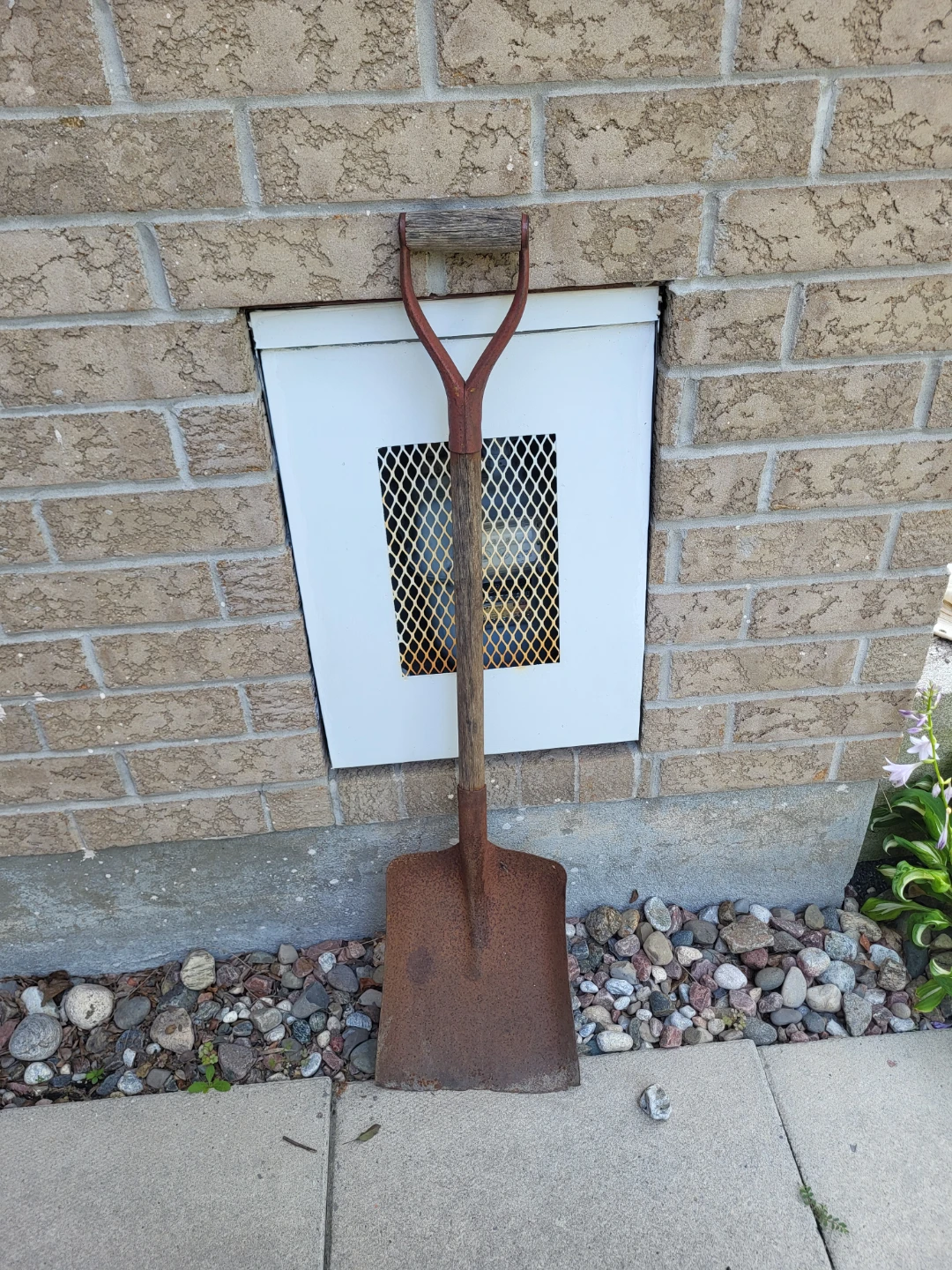 Square Head Garden Shovel