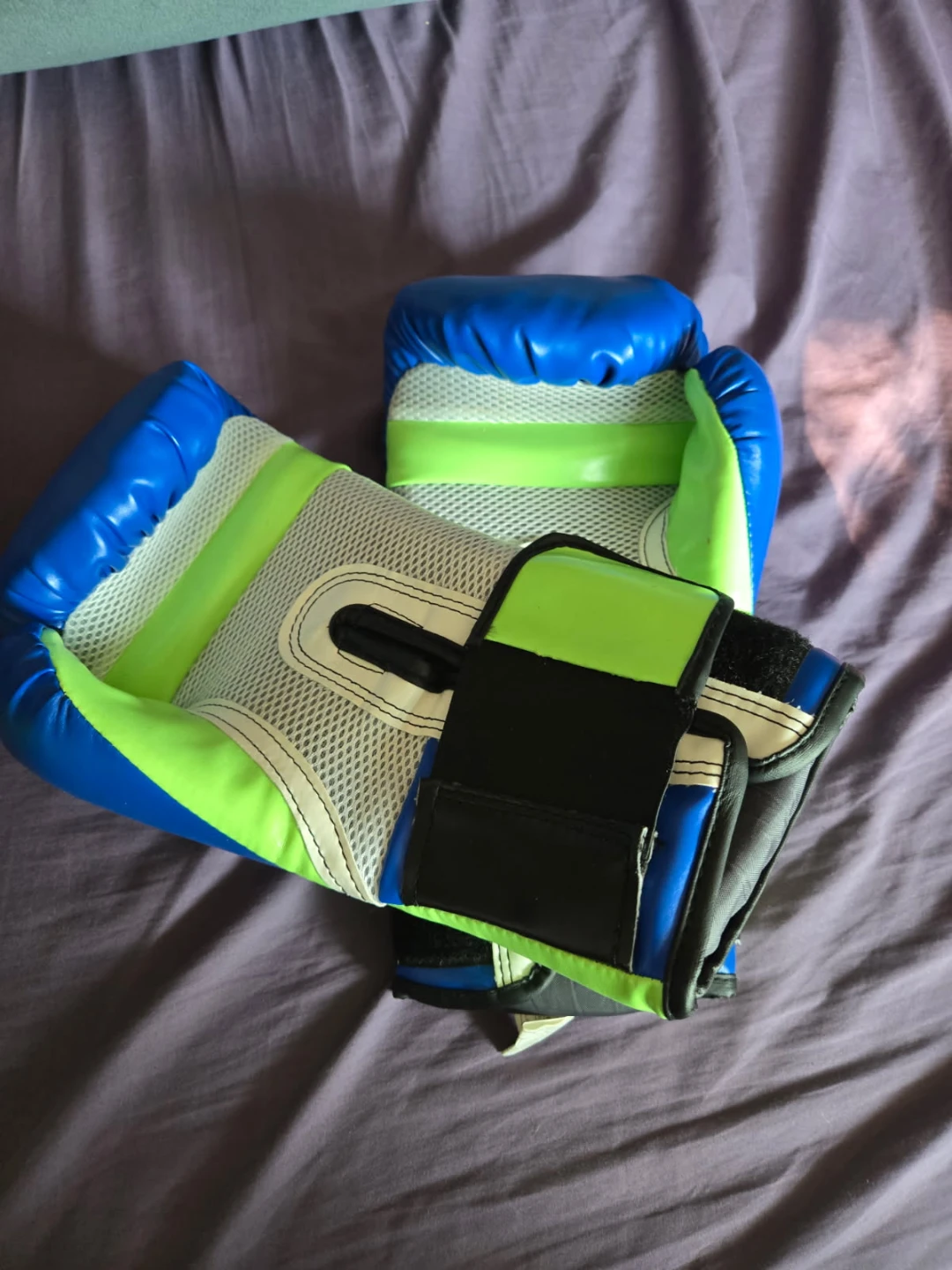 Blue boxing gloves