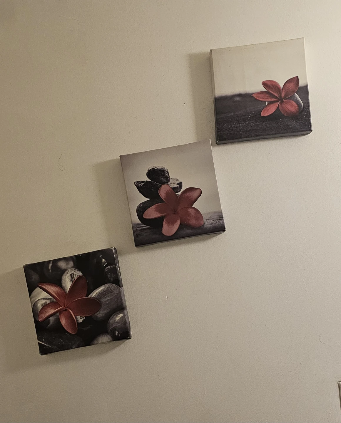 Red Flower Canvas Wall Art Set