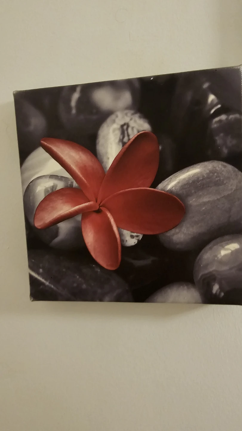 Red Flower Canvas Wall Art Set - photo 3