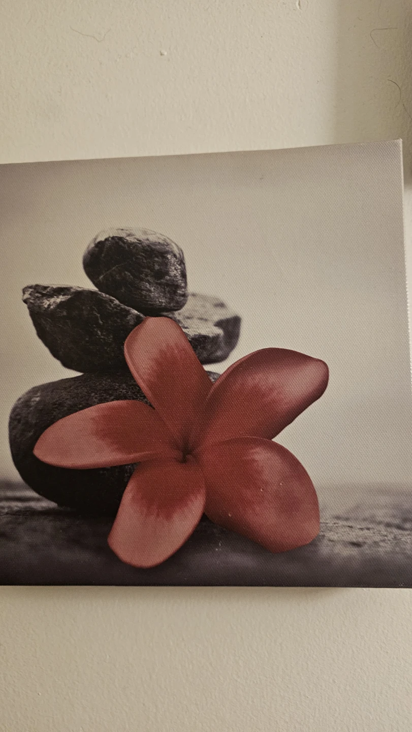 Red Flower Canvas Wall Art Set - photo 4