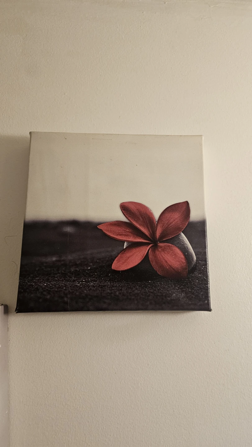 Red Flower Canvas Wall Art Set - photo 5