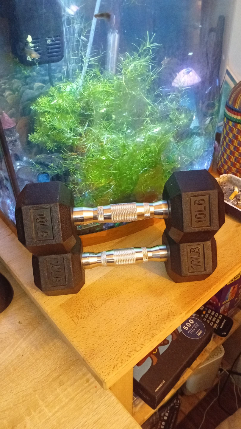 Pair of 10lb Hex Dumbbells