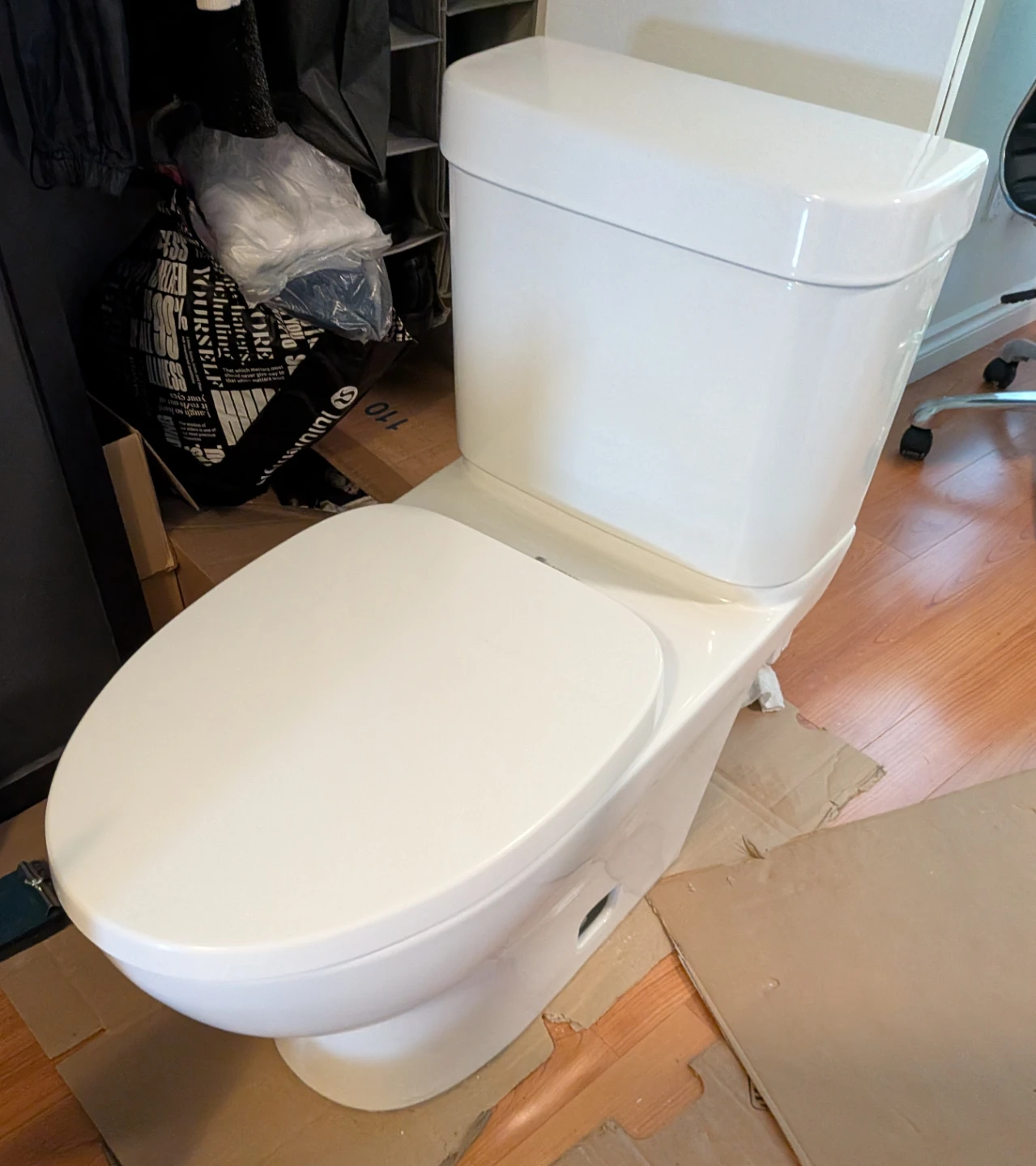 Glacier Bay toilet, elongated bowl and skirted