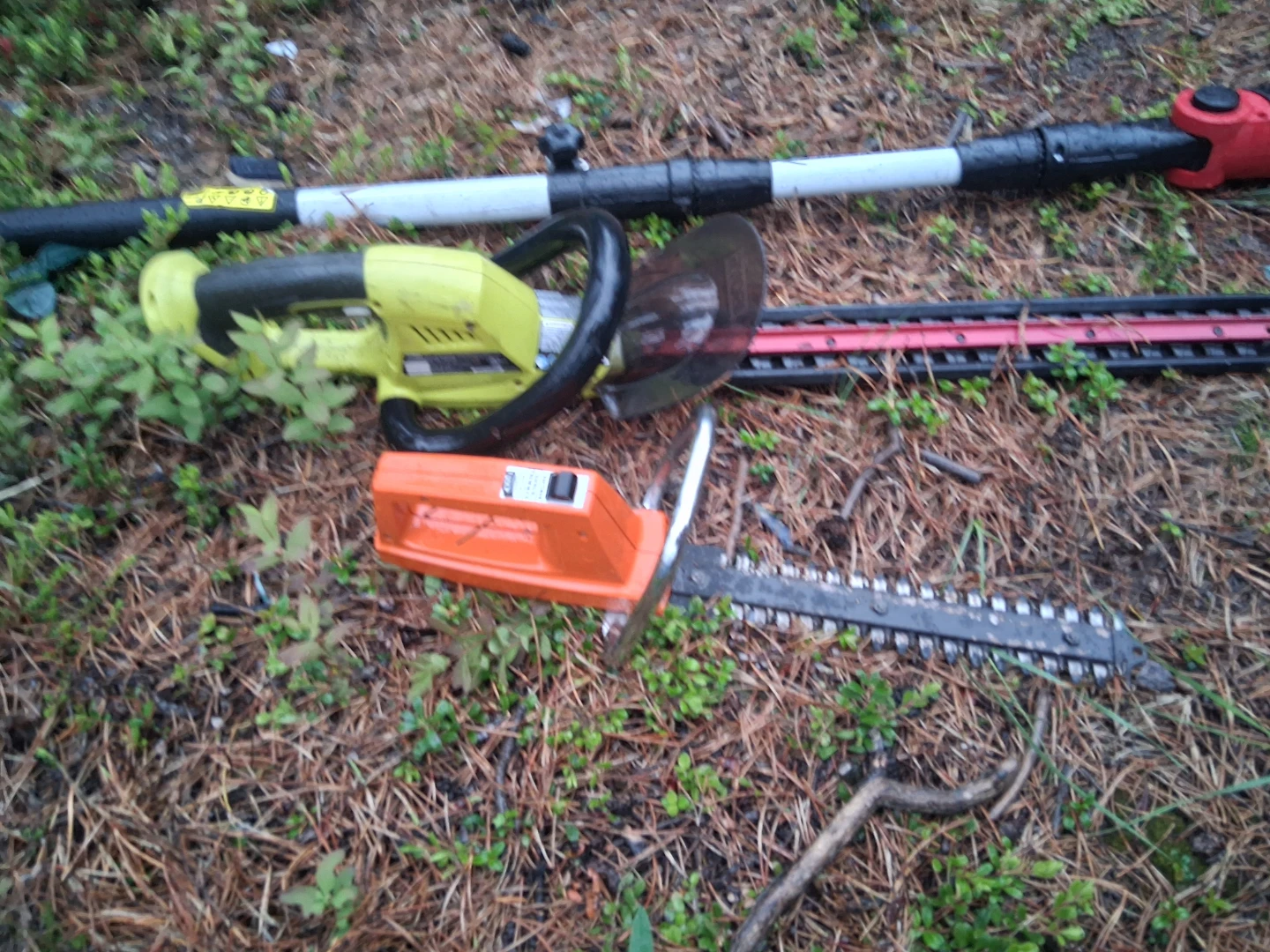 Hedge lawn and landscaping items - photo 2
