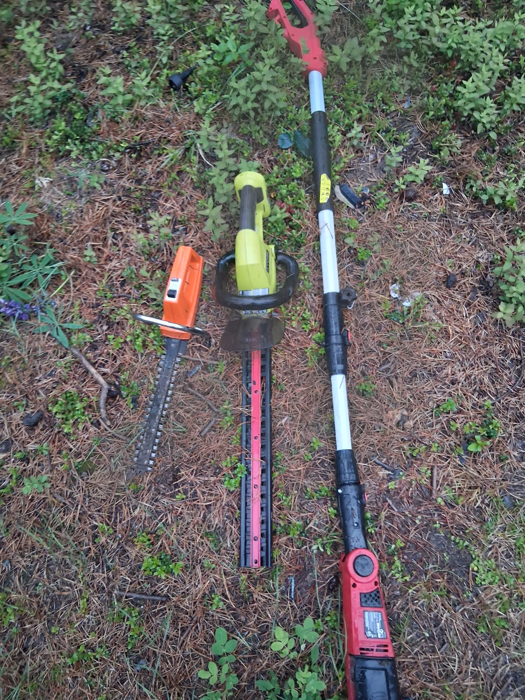 Hedge lawn and landscaping items - photo 3