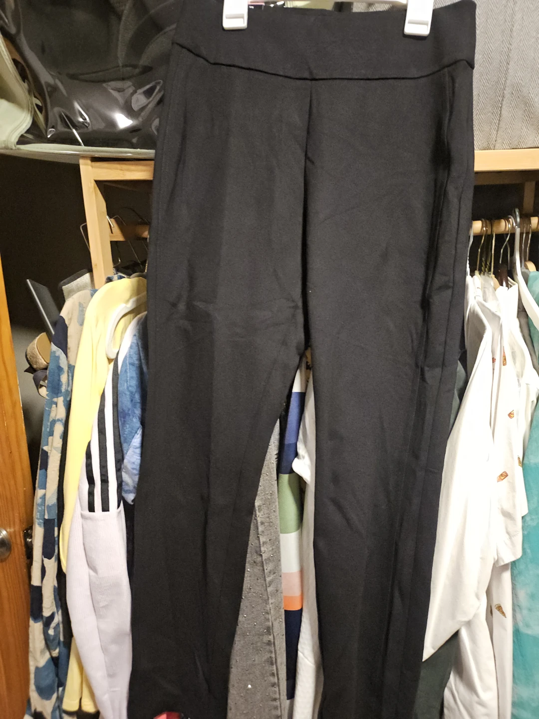 Express Ponte Pants Black Size S