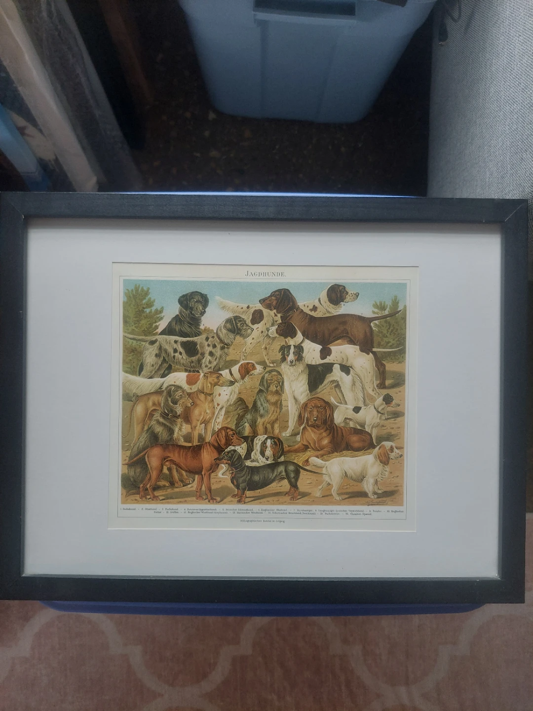 Vintage "JAGDHUNDE" Dog Print 13" x 17" - photo 4