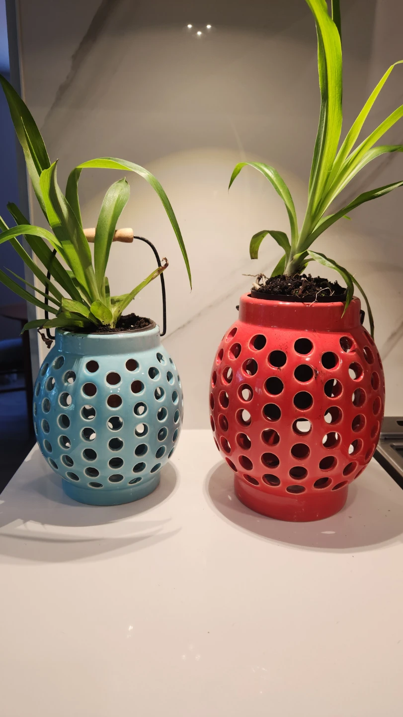 Upcycled lantern planters with plants