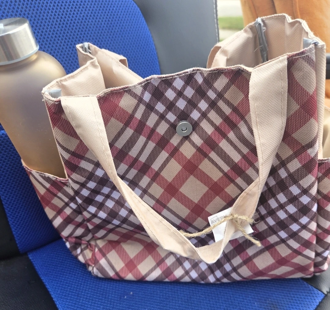 Insulated Lunch Bag with Ice Pack and Water Bottle