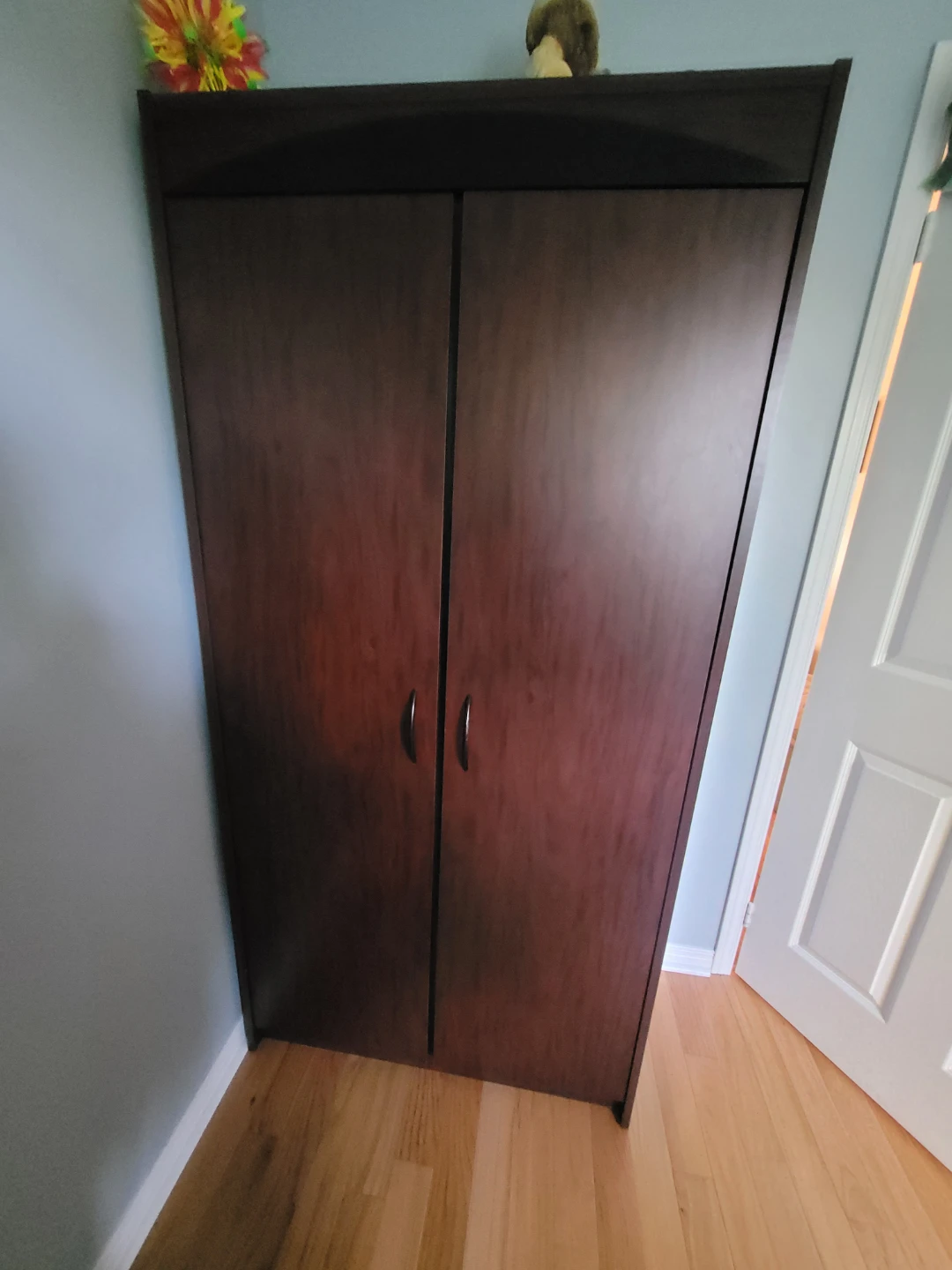 Dark Wood Tall Cabinet with Doors