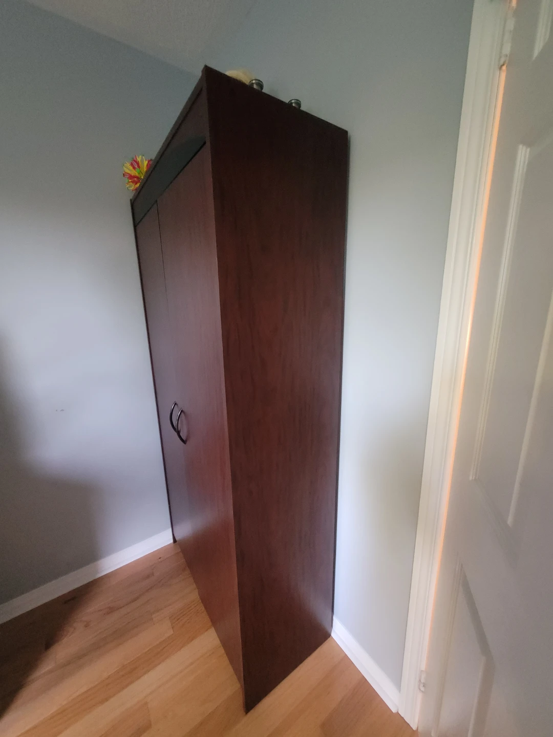 Dark Wood Tall Cabinet with Doors - photo 2