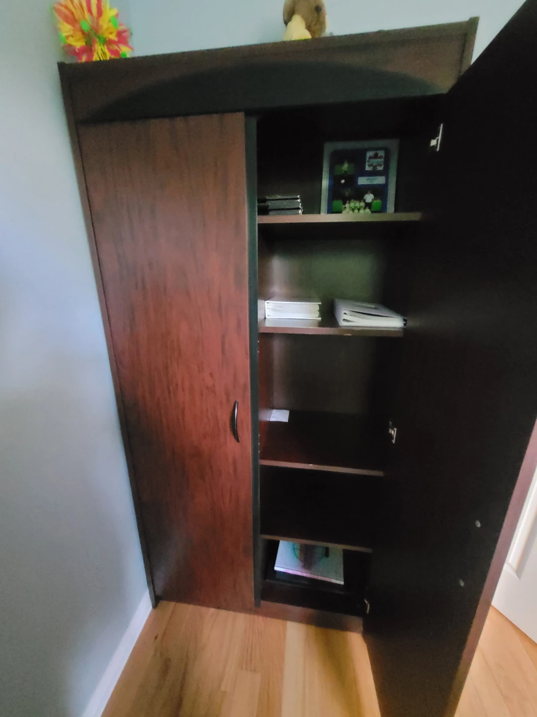 Dark Wood Tall Cabinet with Doors - photo 4
