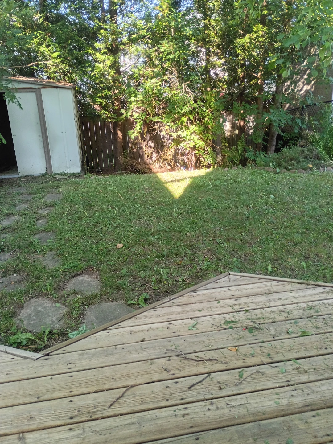 Lawnmowing and lawn care
